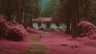  Album Hits Tetti Kadi Terbaik Sepanjang Masa  Lagu Lawas Paling Populer U0026 Nostalgia