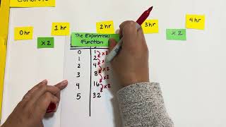 Conceptual Exponential Functions ©️Powered Up Learning 2026