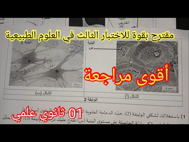 إختبار الفصل الثالث في العلوم الطبيعية السنة الأولى ثانوي 2024