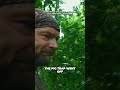 Survivorman | Surviving the Jungle - The Hidden Dangers That Can Bring You Down | Les Stroud