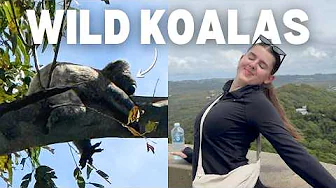We found WILD koalas hiking in Byron Bay (A month in Aus vlogs)