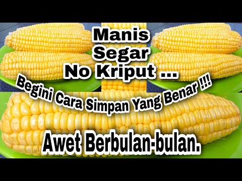 Jagung Bertahan Berapa Lama
