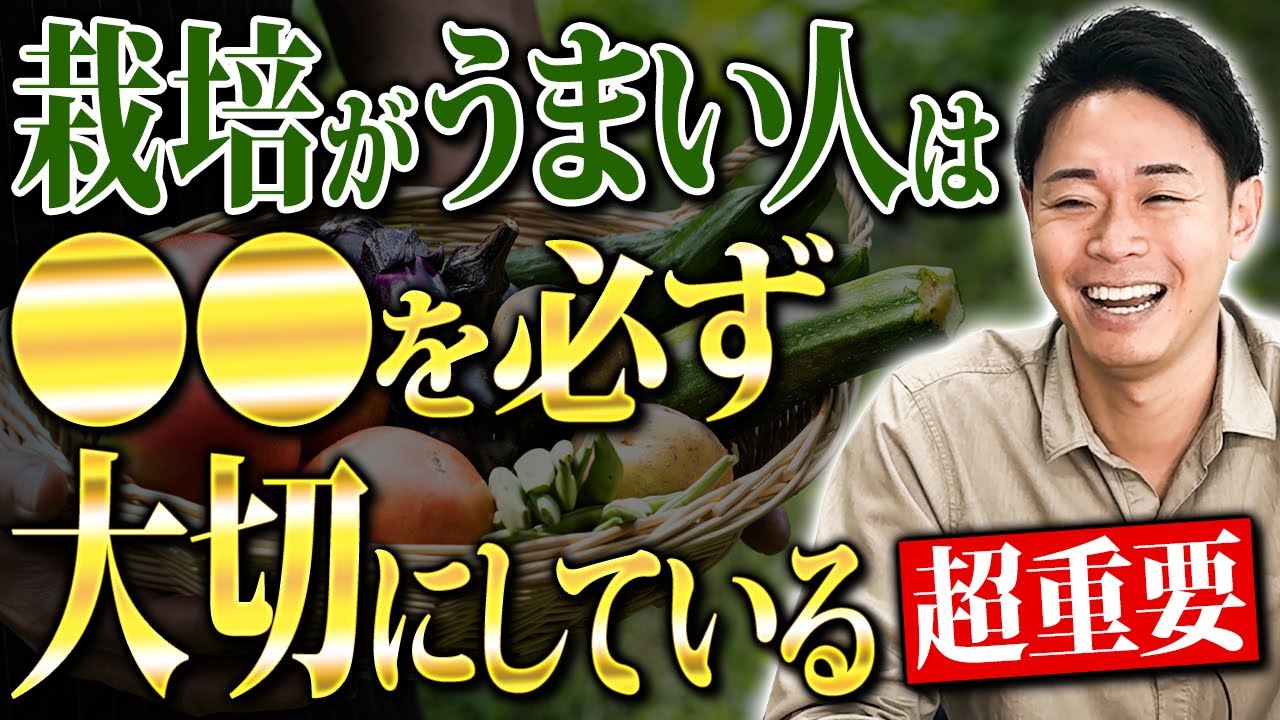 プロ級の人がこっそり重視しているのは…実は“◯◯”です。家庭菜園の差はここで出ます【家庭菜園 土づくり ガーデニング 微量要素】
