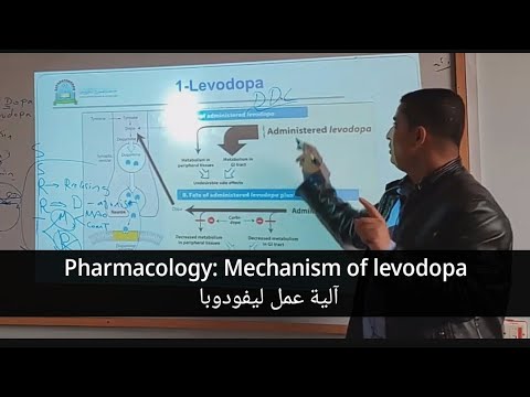 Mechanism of action of Levodopa آلية عمل ليفودوبا