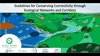 Vital Sites: Launch of the IUCN Guidelines for Connectivity Conservation