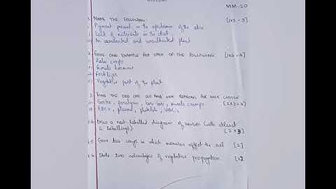 #Continuous &Comprehensive Evaluation File#