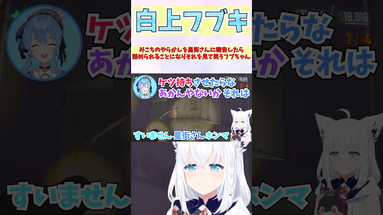 みこちのやらかしを星街さんに報告したら詰められることになりそれを見て笑うフブちゃん #shorts #ホロライブ #切り抜き #vtuber #ホロ切り抜き #白上フブキ #星街すいせい #さくらみこ