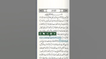 تلاوة هادئة بصوت الشيخ أنس العمادي