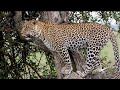 My Dream Safari Tanzania 2024 My Dream Safari Tanzania 2024