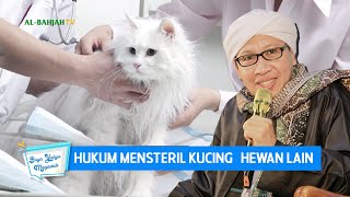 Hukum Mensteril Kucing (Hewan Lain) - Buya Yahya Menjawab