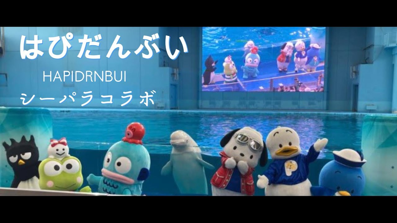 （Full Ver.）最前列☆はぴだんぶい新曲ライブ in 八景島シーパラダイス✨「ダイジョーブ」「ハッピー戦隊」「はぴだんぶい!!!」