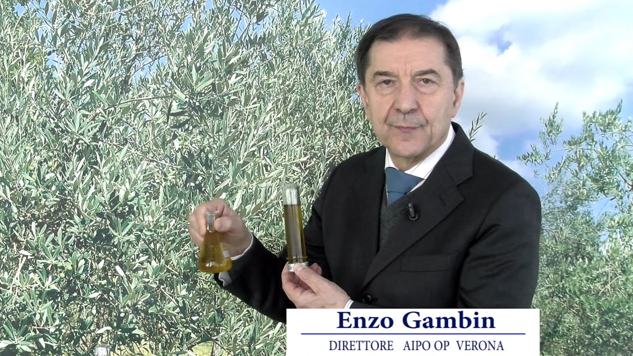 Periodico olivo 12 dicembre 2025