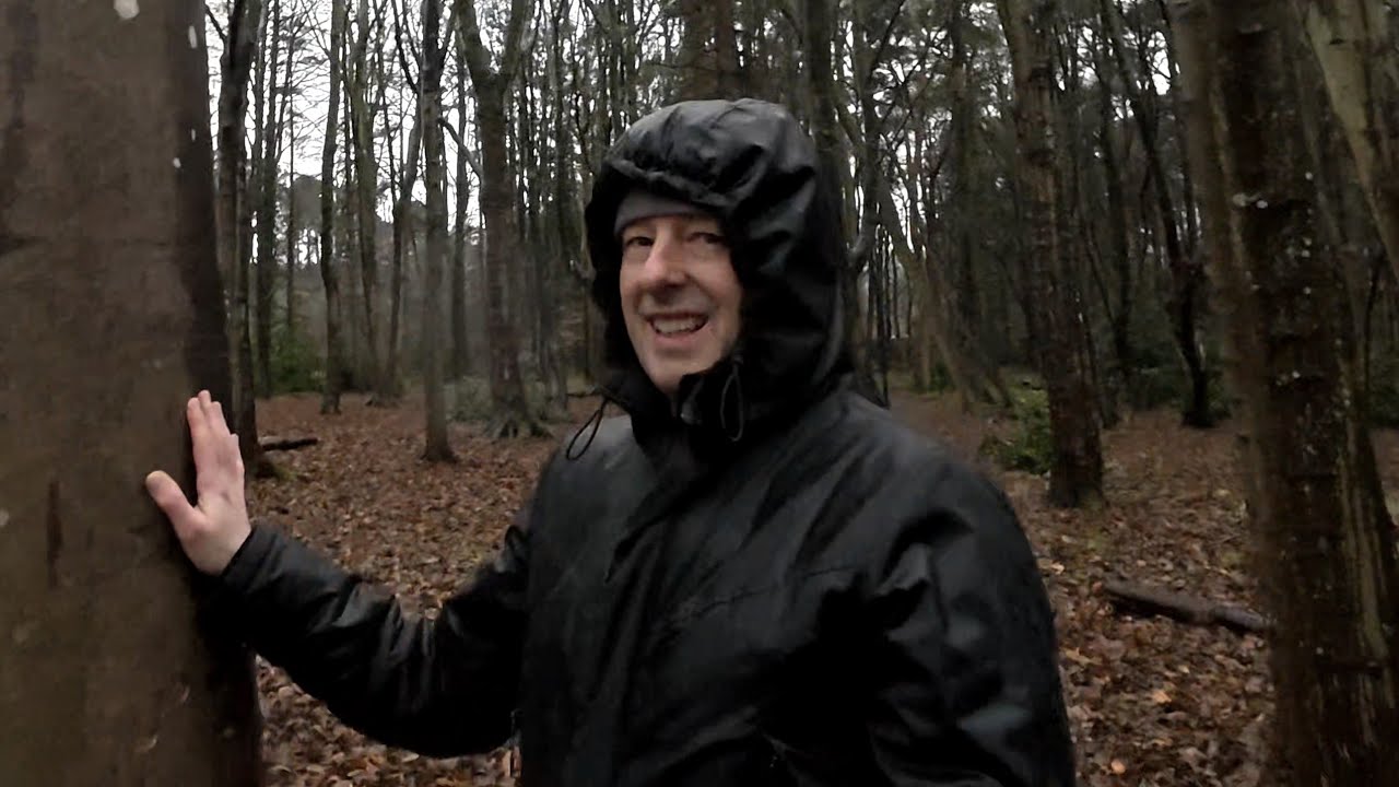 Беседа с таинственным деревом в Сторни, Шотландия | Избавление от глобального гнева и ярости 🔥