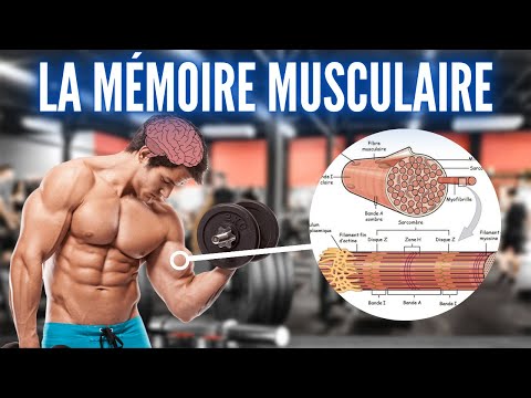 Vidéo: Qu'est-ce Que La Mémoire Musculaire