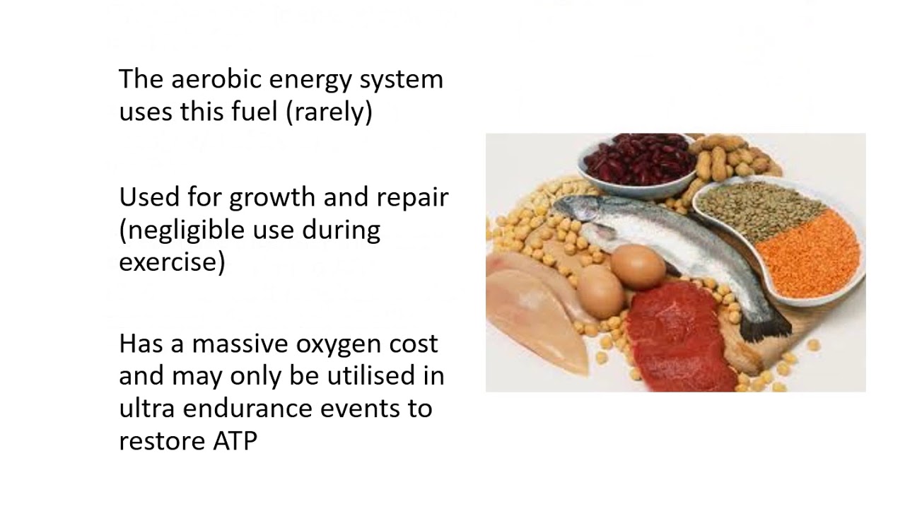 VCE PE week 9 ATP chemical and food fuels YouTube