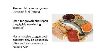 VCE PE week 9 ATP - chemical and food fuels