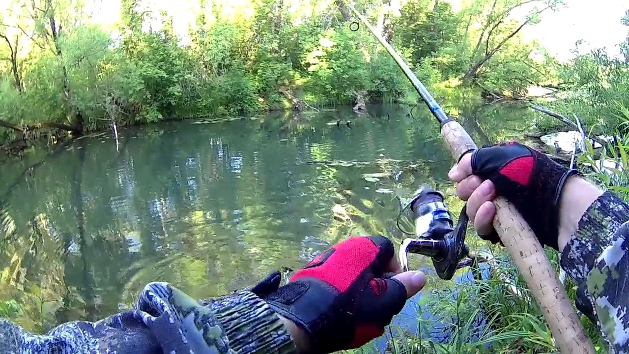 Спиннинг летом видео. Рыбалка на лягушку на щуку со спиннингом. Ловля щуки на лягушку незацепляйку летом на спиннинг. Лягушка для ловли щуки. Река пьяна спиннинг лето.