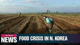 40% of N. Korean population suffers from food shortage: UN