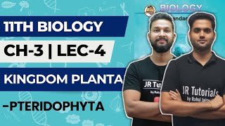 11th Biology | Chapter 3 | Kingdom Plantae | Lecture 4 | Pteridophyta | Maharashtra Board |