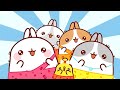 Molang 🌸 All NEW Episodes Compilation 🐰 Cartoon for kids Kedoo ToonsTV