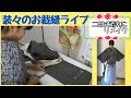 【装々のお裁縫サロン】着物をリメイクして二部式着物に　＃2　スカートを作るよ　ライブでじっくり解説