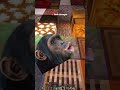 Minecraft Tapi Block Yang Aku Injak Jadi Random