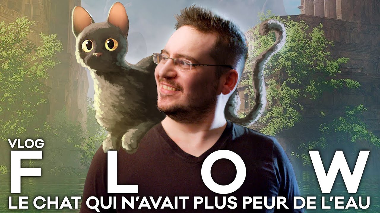 Vlog n°762 - Flow - YouTube