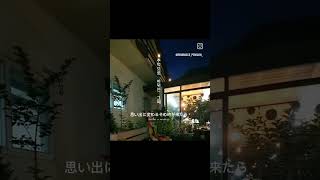 단양레미니스 펜션의 봄소식 #danyang  #pension