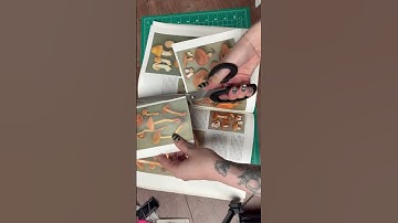 Making a mini sketchbook using concertina binding #bookbinding #sketchbook