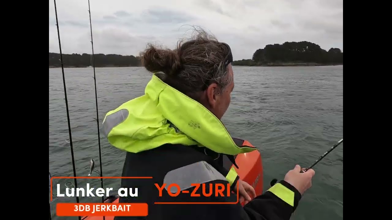 Une des meilleurs couleurs de YO-ZURI 3DB Jerbait, pour pêcher les gros bars de fin de saison.