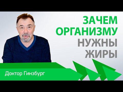 Зачем организму нужны жиры. В чем причина лишнего веса