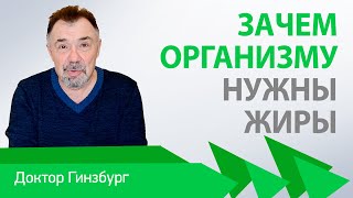 Зачем организму нужны жиры. В чем причина лишнего веса