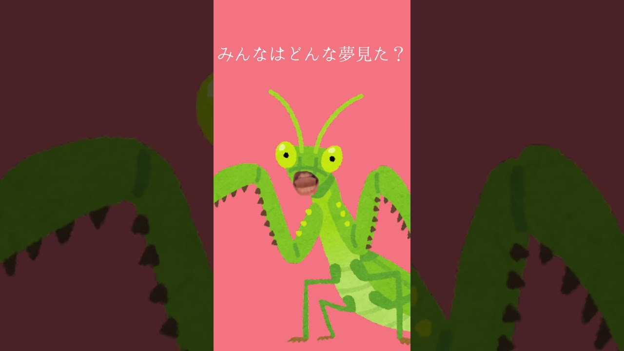 みんなの見た夢17 #dream #夢 #meme #猫ミーム