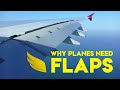 Why Do Planes Have Flaps? | Fly Anatomy