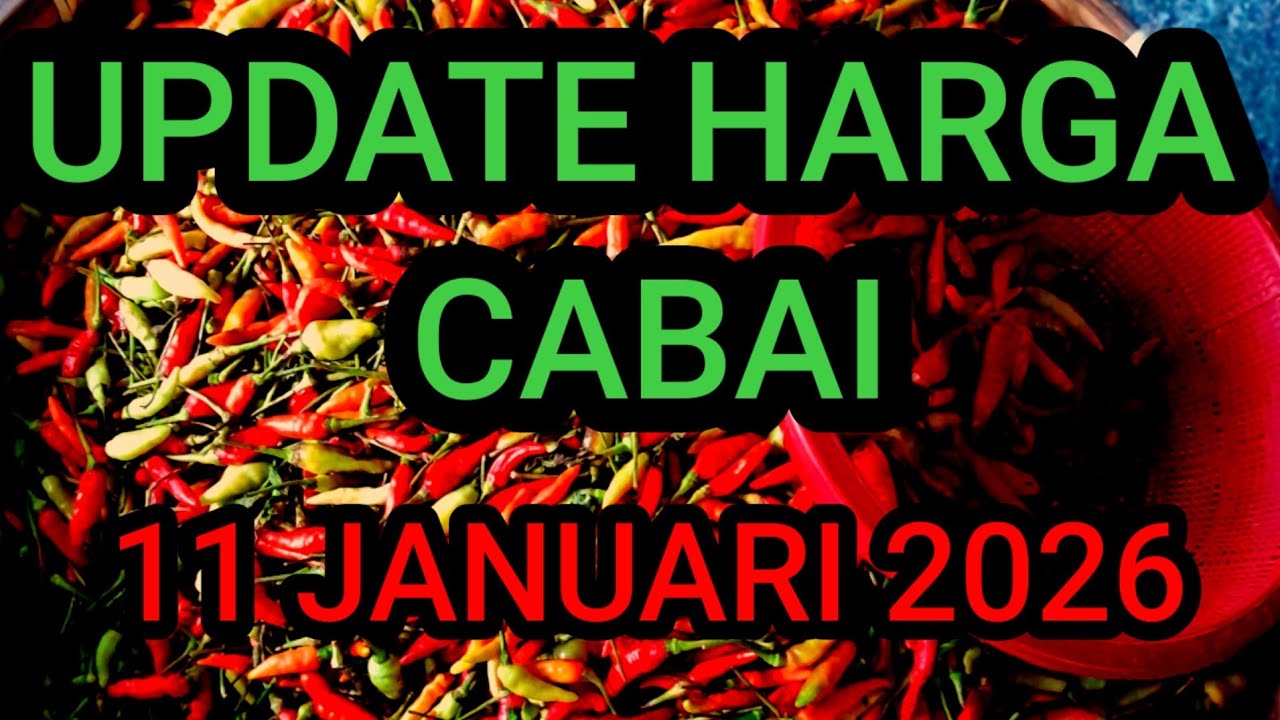 Update harga cabe rawit hari ini 11 Januari 2026 di pasar induk pare kediri jawa timur 