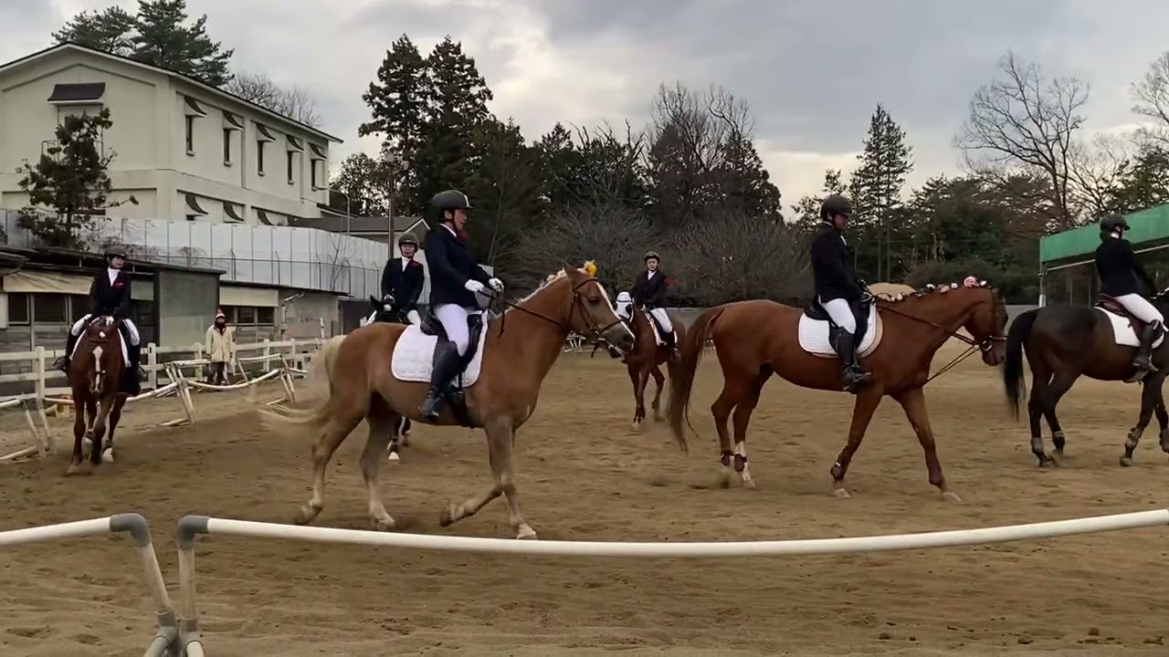 SRC狭山乗馬センター安藤班カドリール　2025年12月21日