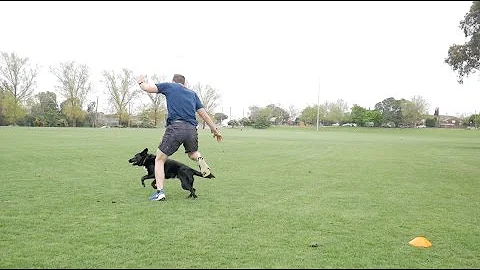 Knee Drive Drills for Better Acceleration