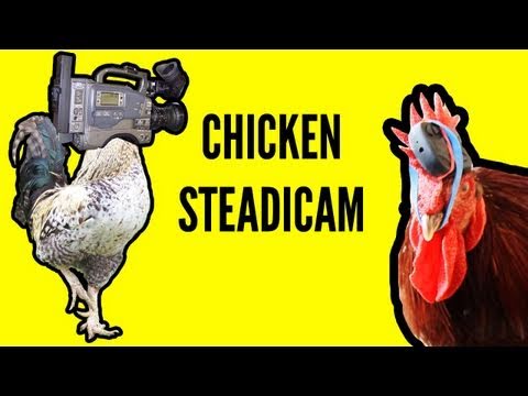 Chicken Powered Steadicam Comparison (chicken, human head, and handheld)