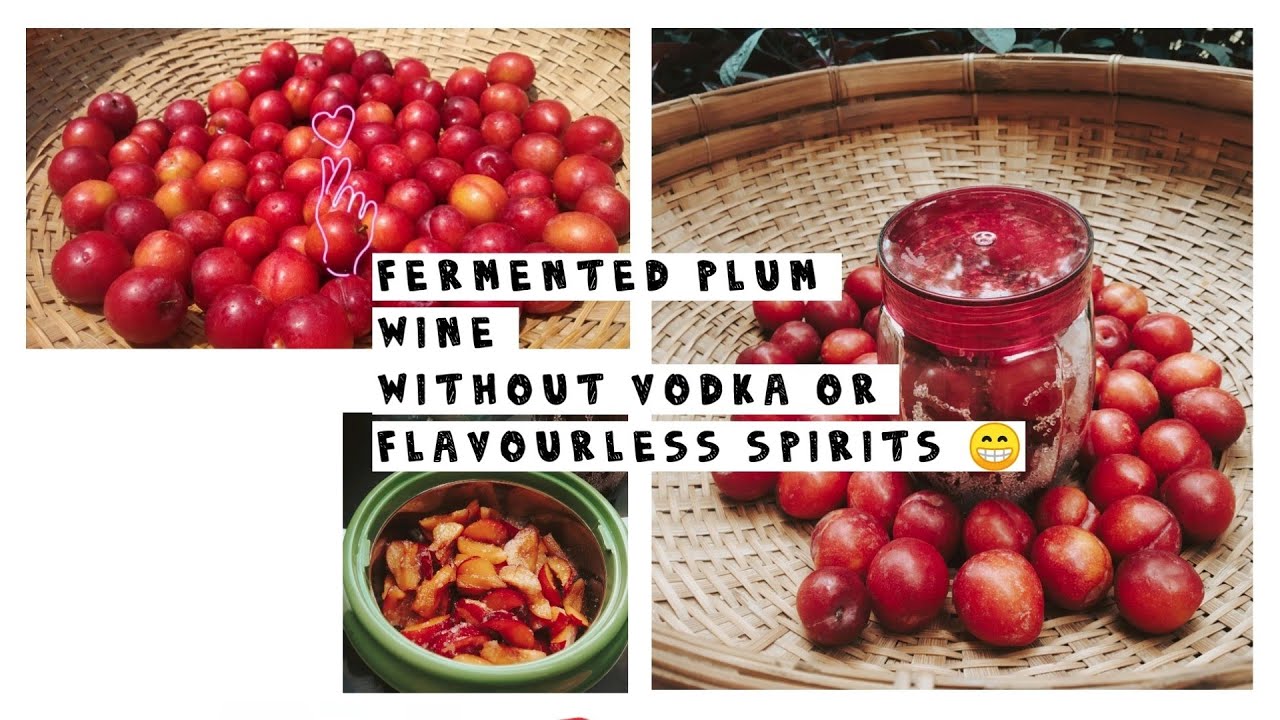 The Making of Plum Wine 🍷 YouTube