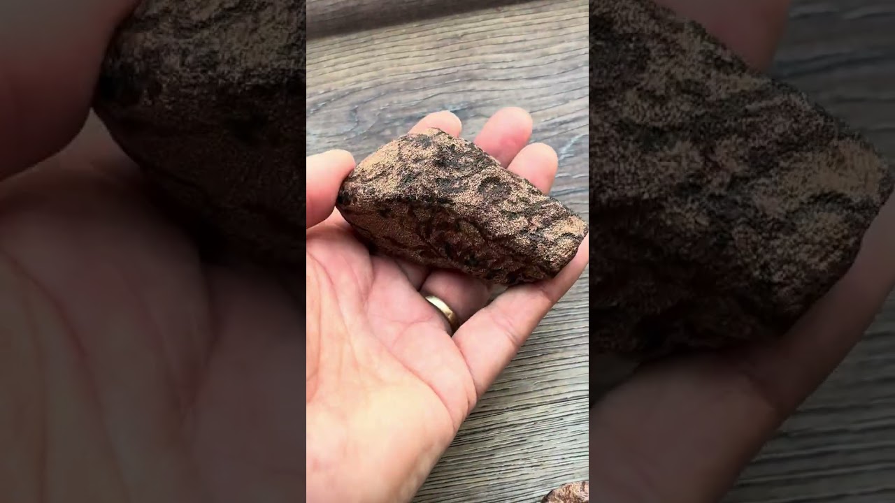 Human culture/ human effigies