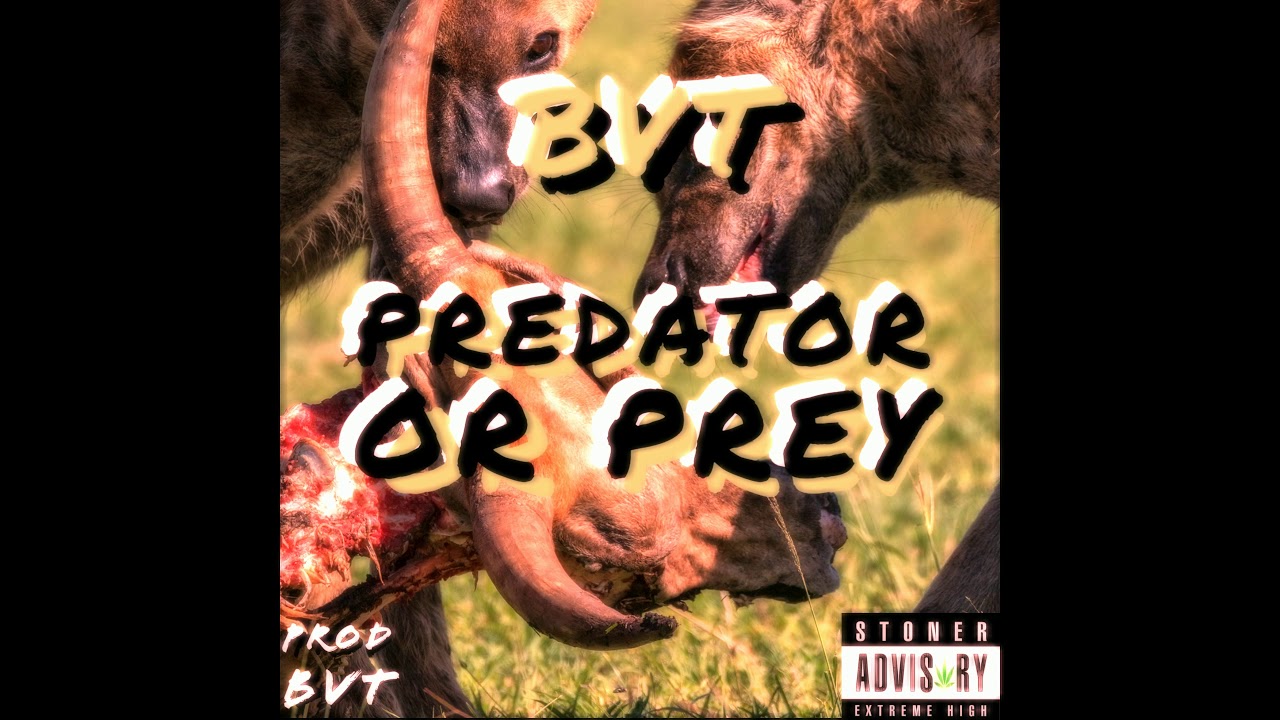 Watch BENNY THE BUTCHER X ALCHEMIST X CONWAY TYPE BEAT - HYENA on YouTube Watch BENNY THE BUTCHER X ALCHEMIST X CONWAY TYPE BEAT - HYENA on YouTube