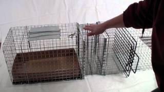 cat transfer cage