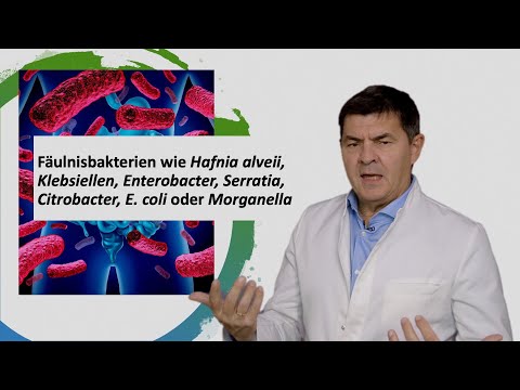 Histaminbildende Darmbakterien auf