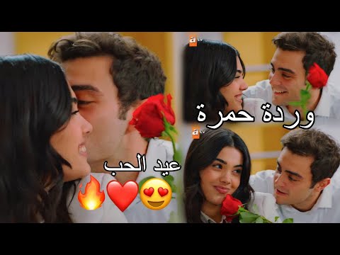 كل سنة حبك أضل وردة حمرة عمر وسوسين أسراء الاصيل وحسين غزال    أخوتي 