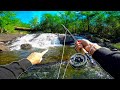 FLY FISHING Mountain Streams in BACKWOODS of Maine