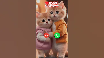 My Mom Is Calling Ringtone Calling Shorts Cat 