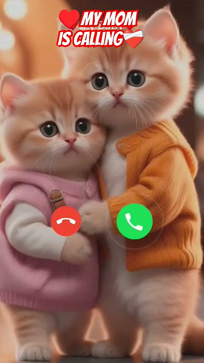 My mom is calling #ringtone #calling #shorts #cat