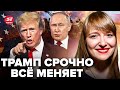 😳ТАКОГО від Трампа не чекали! Путін передав у США умови КІНЦЯ "СВО". Санкції проти РФ ВІДМІНЯТЬ?