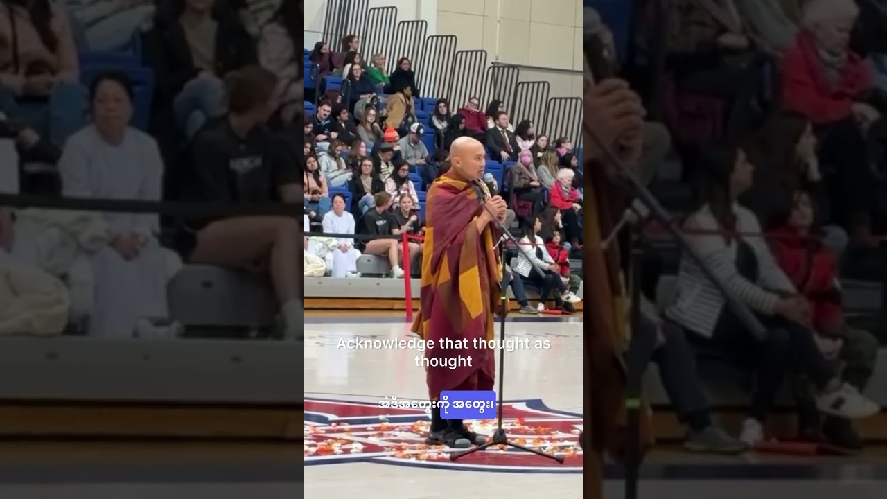 🕊️Walk for peace 🙏🙏🙏 Get through stress 🧘#[2]