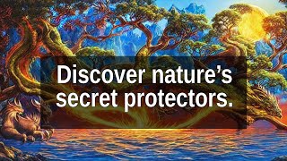 Unveiling the Mystical Elemental Spirits: Guardians of Nature’s Hidden Power